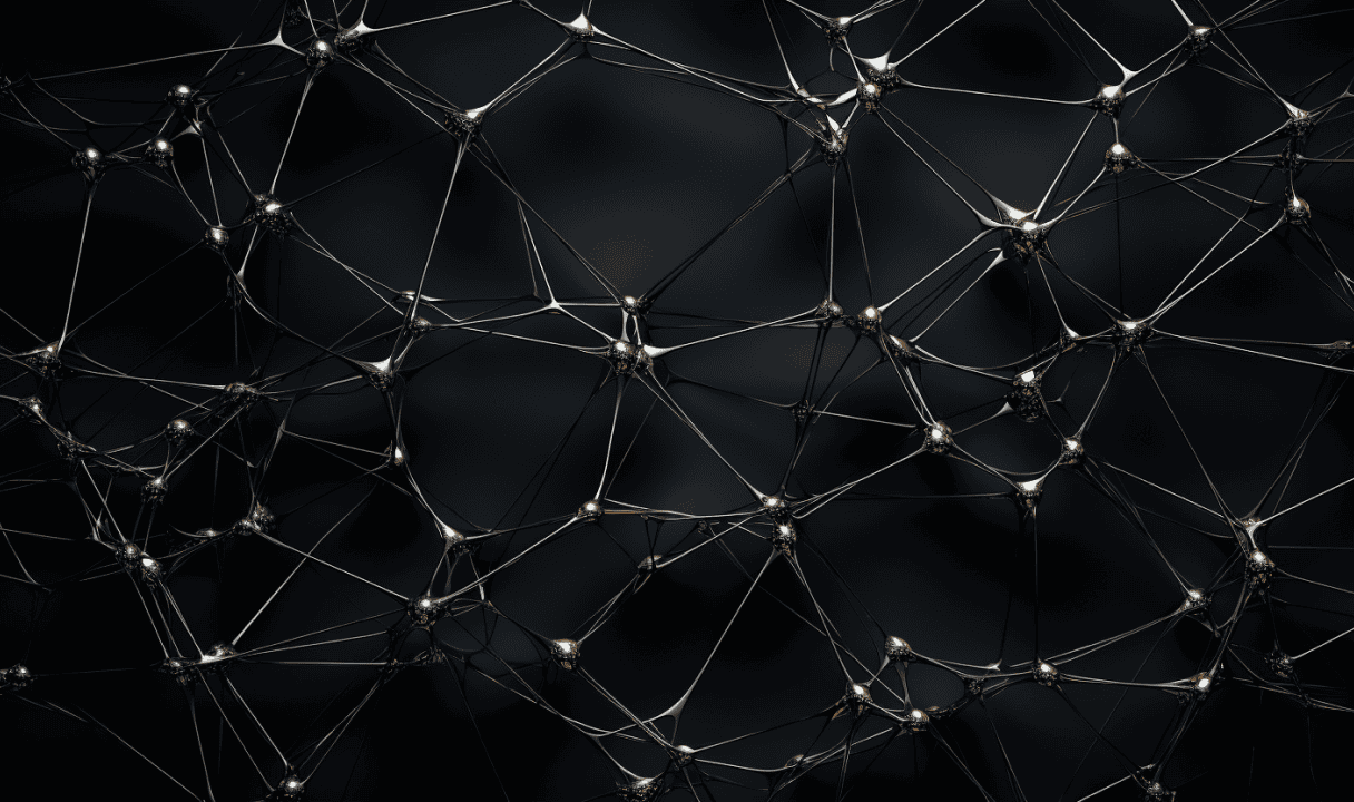 an image representing a backbone network